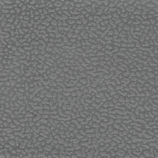 Cool Gray