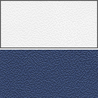 White/Navy