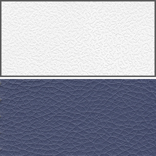 White/Ocean