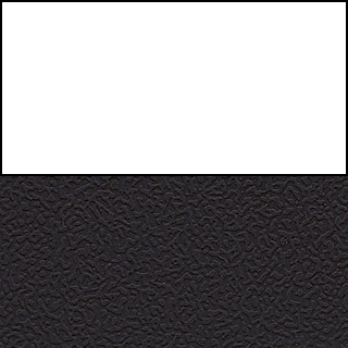 White Back/Black Seat
