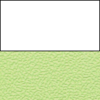 White Back/Lime Green Seat