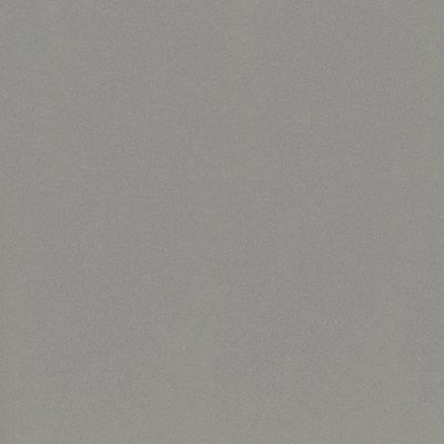 Starlight Silver Metallic