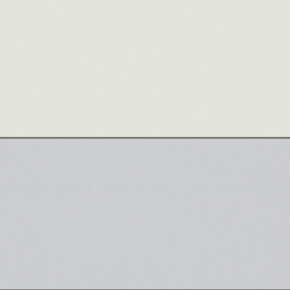 Frosty White/Cool Grey