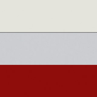 Frosty White/Cool Gray/Cayenne