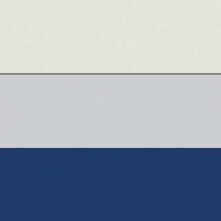 Frosty White/Cool Grey/Ultra Blue