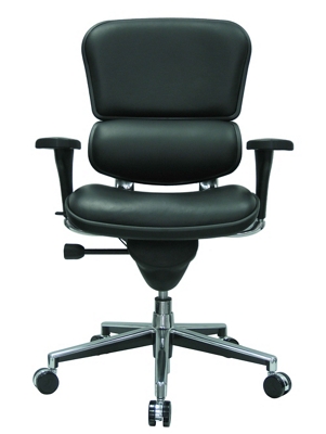 Ergohuman Mid Back Leather Chair