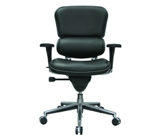Ergohuman Mid Back Leather Chair