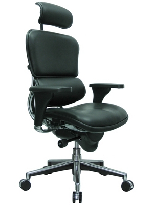 Ergohuman High Back Leather Chair with Headrest