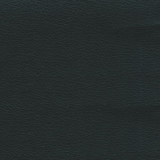 Black Vinyl