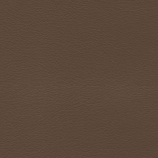 Mocha