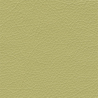 Honeydew