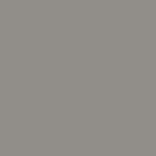 Brushed Nickel Steel