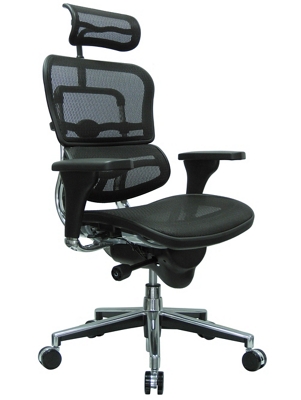 Ergohuman High Back Mesh Chair with Headrest by Eurotech Seating