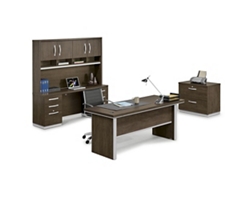 Metropolitan Executive Office Suite