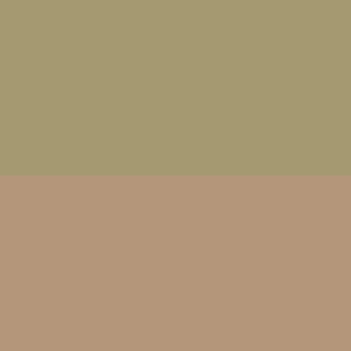 Beige/Beige