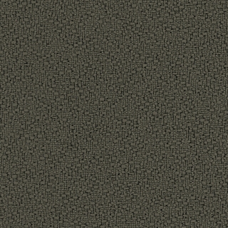 Fossil