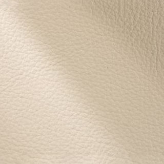 Bone