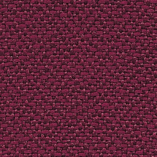 Cranberry Icon