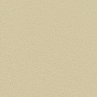Putty