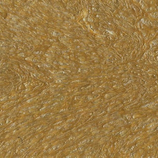 Cedar