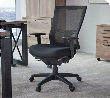 Ergonomic Chairs