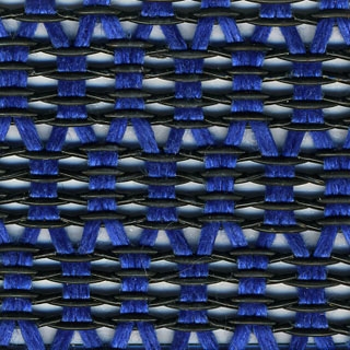 Blue Mesh