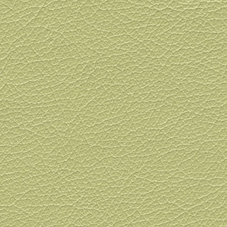 Honeydew