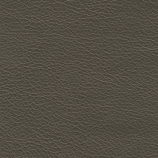 Steel