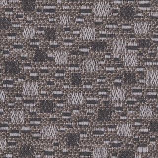 Tabby Cat