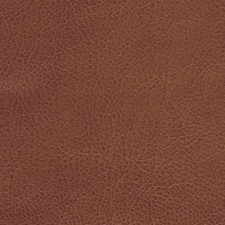 Saddle Brown