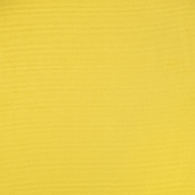 Primary Yellow