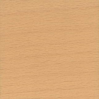 Golden Maple
