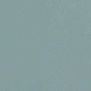 Calm Teal