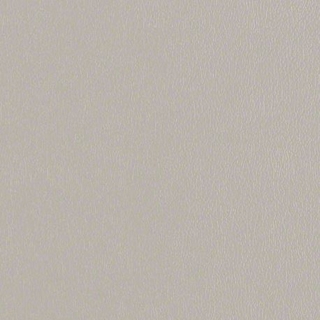 Dove Gray