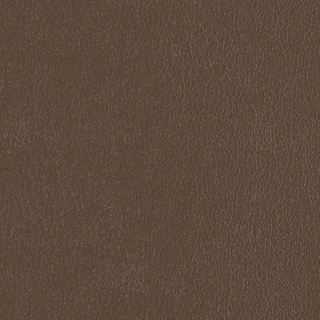 Mocha
