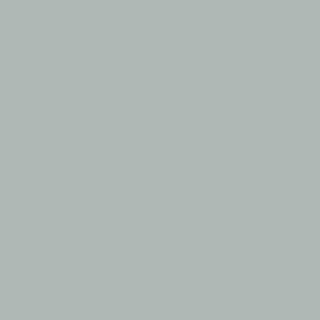 Smooth Silver