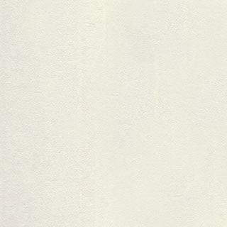 Fashion Gray