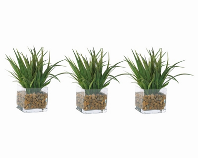 Grass Plants in Glass Pots with Faux Water