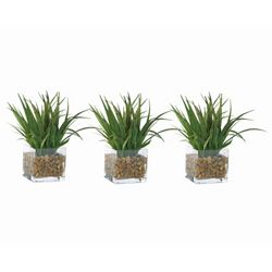 Grass Plants in Glass Pots with Faux Water