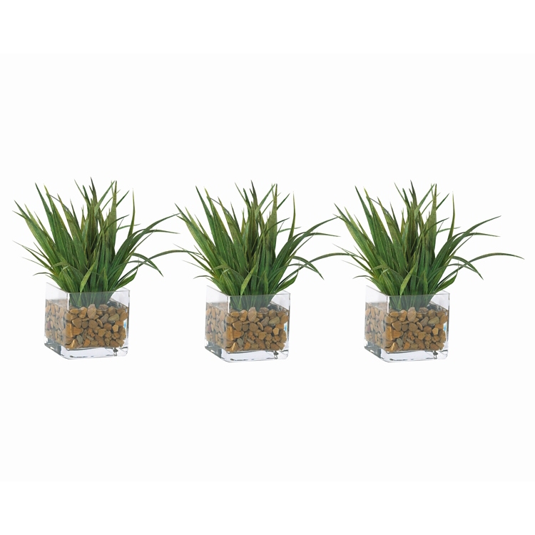 can you use regular potting soil for succulents Cactus and Succulent Soil Mix: The Ultimate Pro Mix Formula