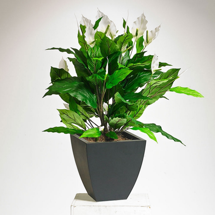 Realistic White Peace Lily Plant - 3 Ft.