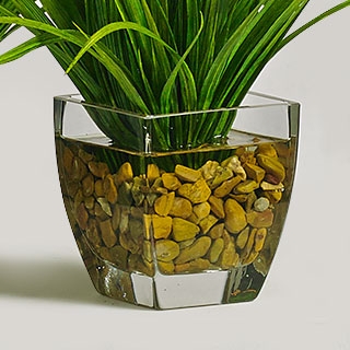 Clear Glass