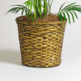 Tan Basket
