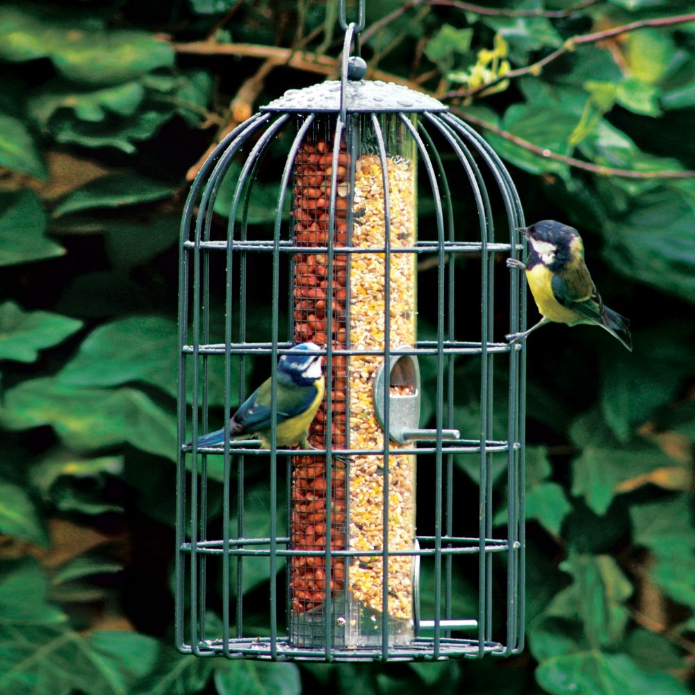 How to make a bird feeder