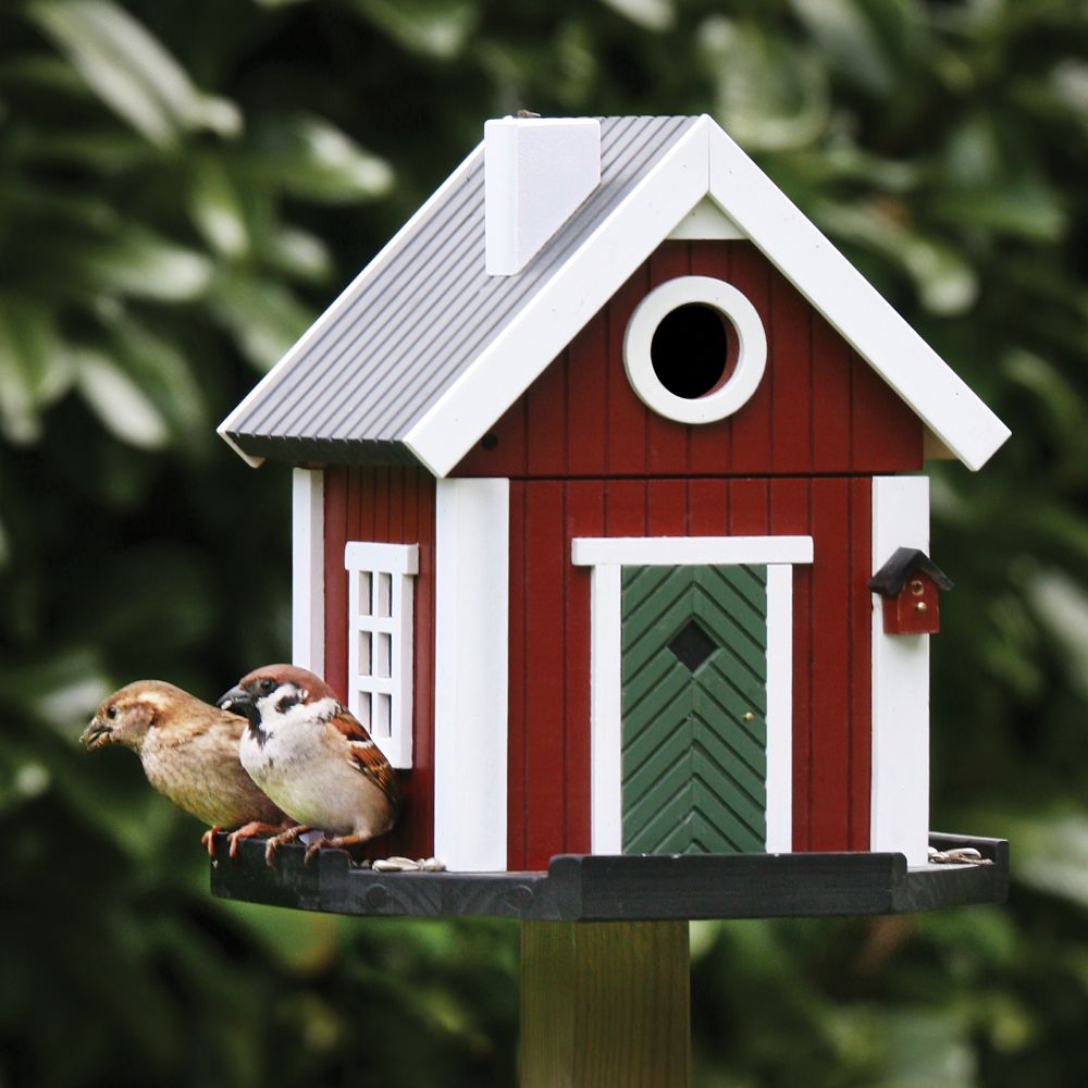 10 Best Build Bird Feeders