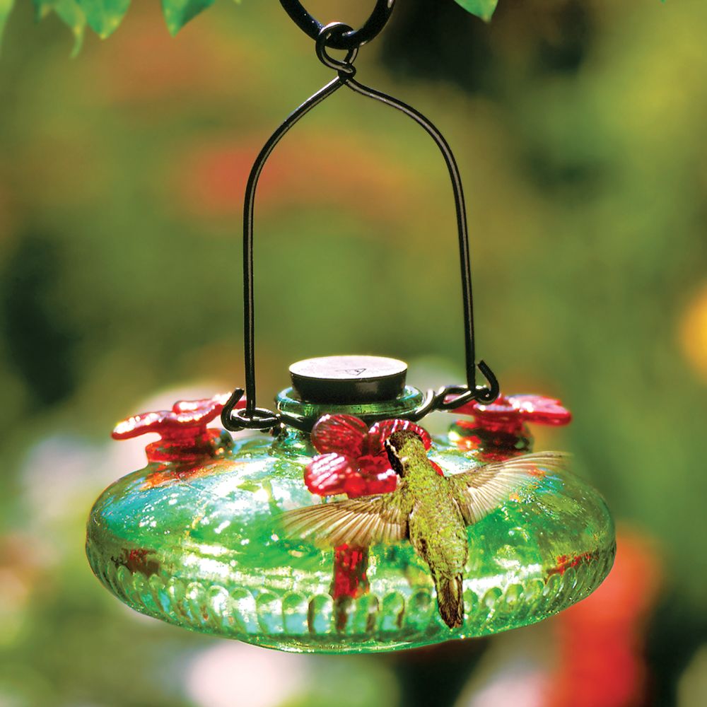 Handblown Green Glass Hummingbird Feeder National Geographic Store