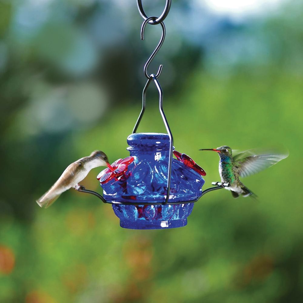 Blue Hummingbird Minifeeder National Geographic Store