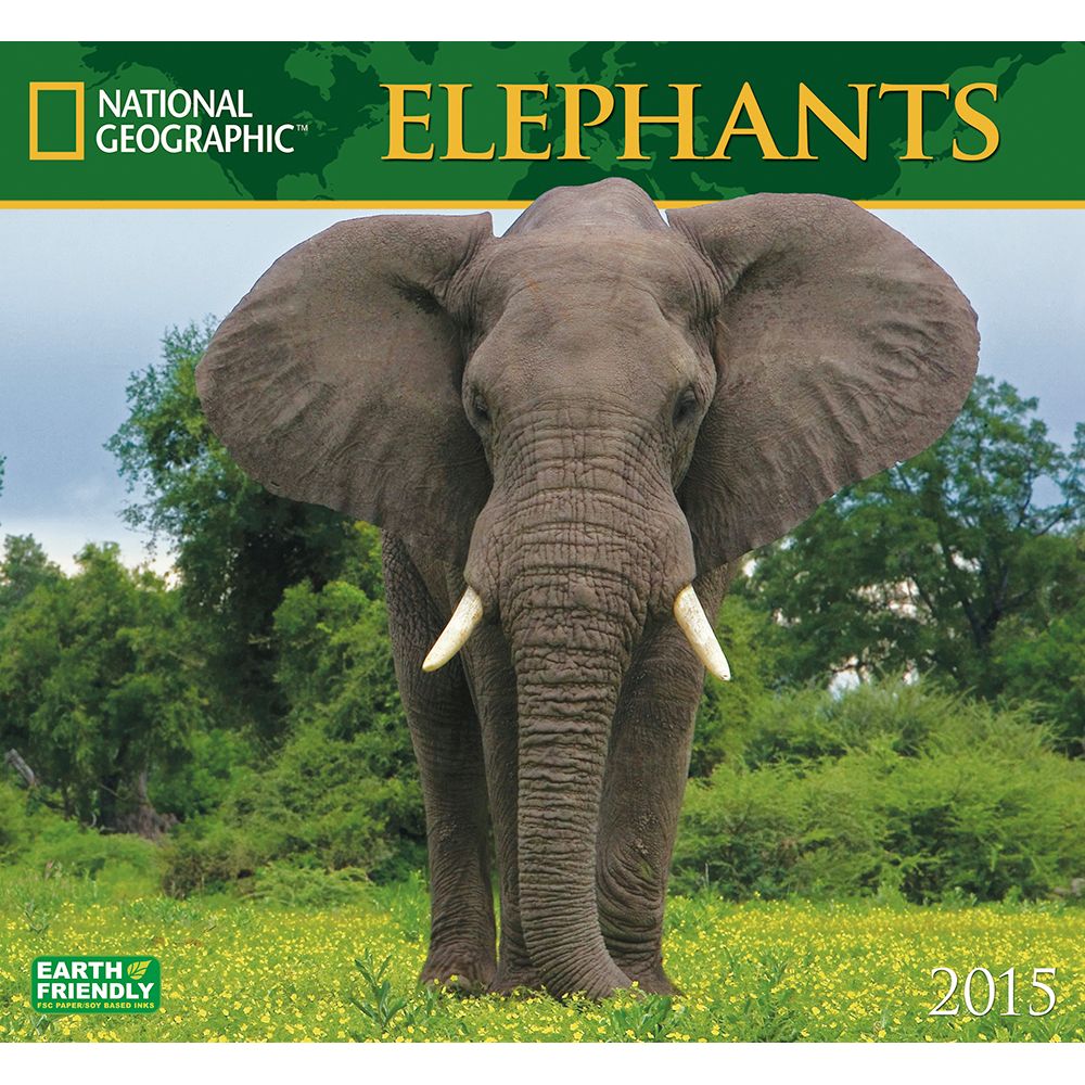 2015 National Geographic Elephants Wall Calendar