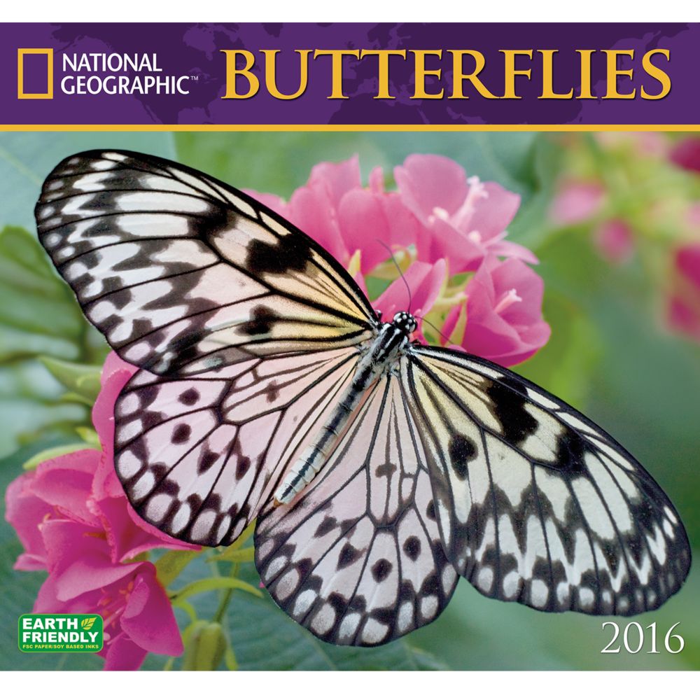 2016 National Geographic Butterflies Wall Calendar National