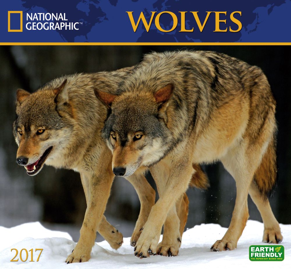 2017 Wolves National Geographic Wall Calendar National